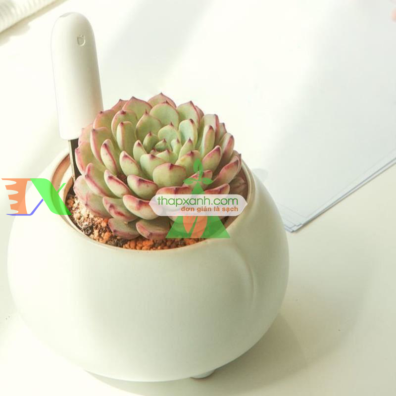 Bút thử nước TDS Xiaomi