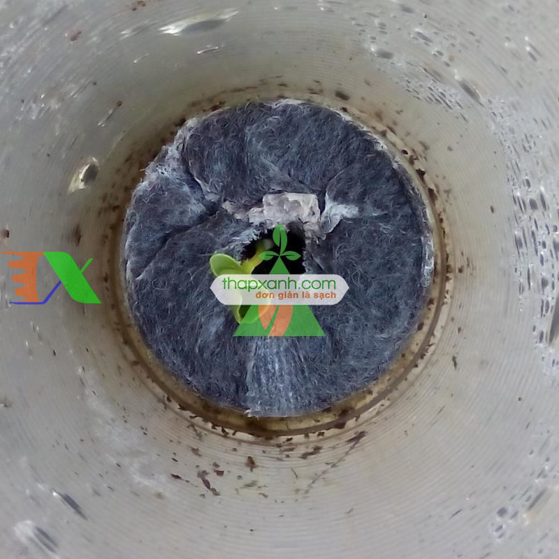 Viên nén xơ dừa (Viên nén ươm hạt) hộp 500 viên