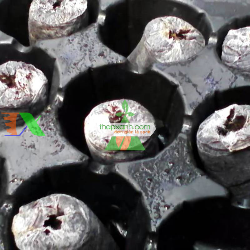 Viên nén xơ dừa (Viên nén ươm hạt) hộp 500 viên