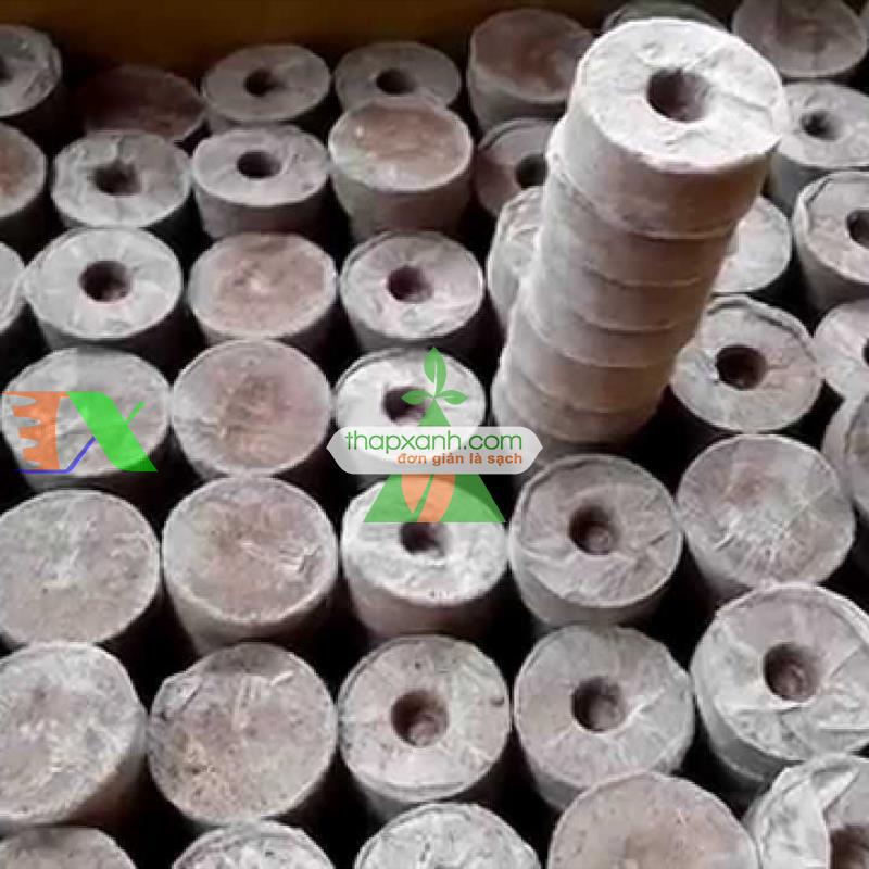 Viên nén xơ dừa ươm cây (Viên nén ươm hạt) Thùng 1000 viên