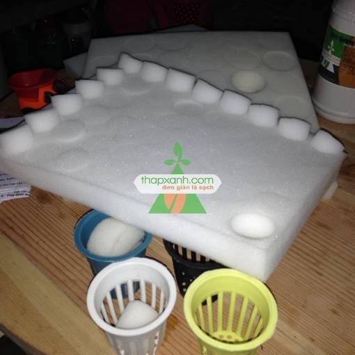 Gambar Mút xốp ươm hạt (d32 x h32)