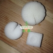 Gambar Mút xốp ươm hạt (d32 x h32)