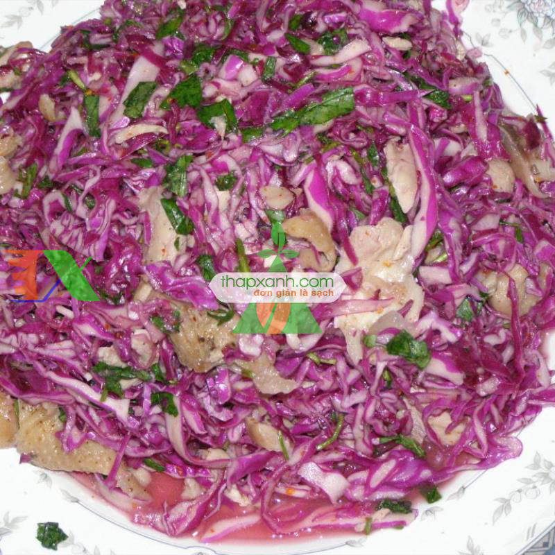 Hạt giống Bắp cải tím (Việt Nam)