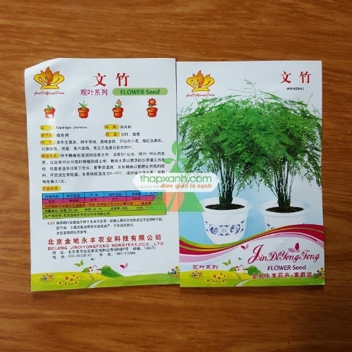 รูปภาพของ Hạt giống Măng Tây xanh (TQ)