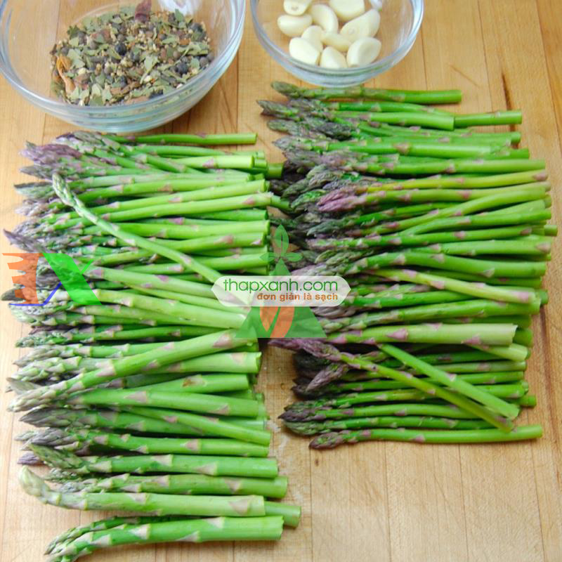 Hạt giống Măng Tây xanh