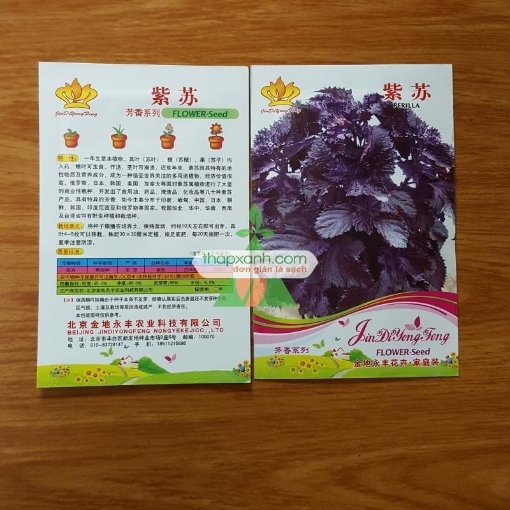 Ảnh của Hạt giống Rau Tía Tô (TQ)
