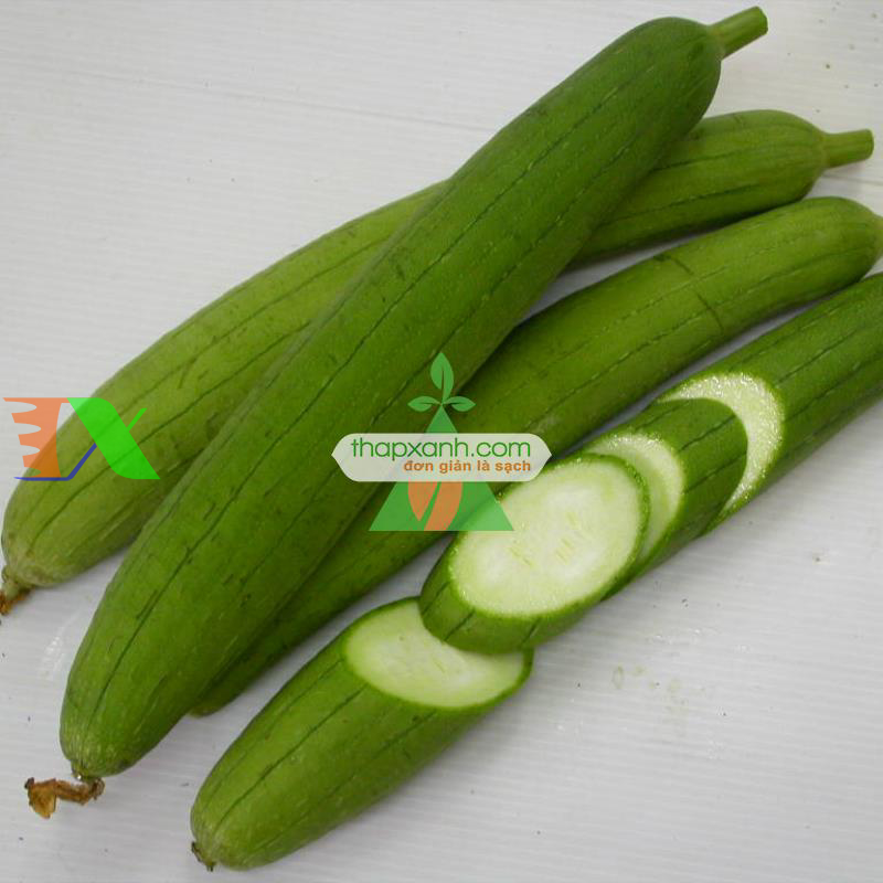 Hạt giống Mướp Hương Thái Lan