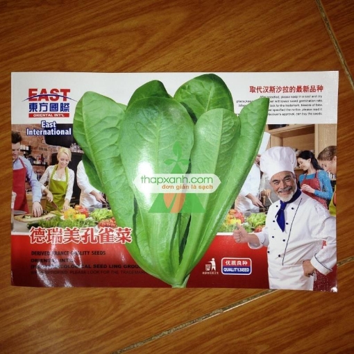 รูปภาพของ Hạt giống rau Xà Lách Romaine Xanh