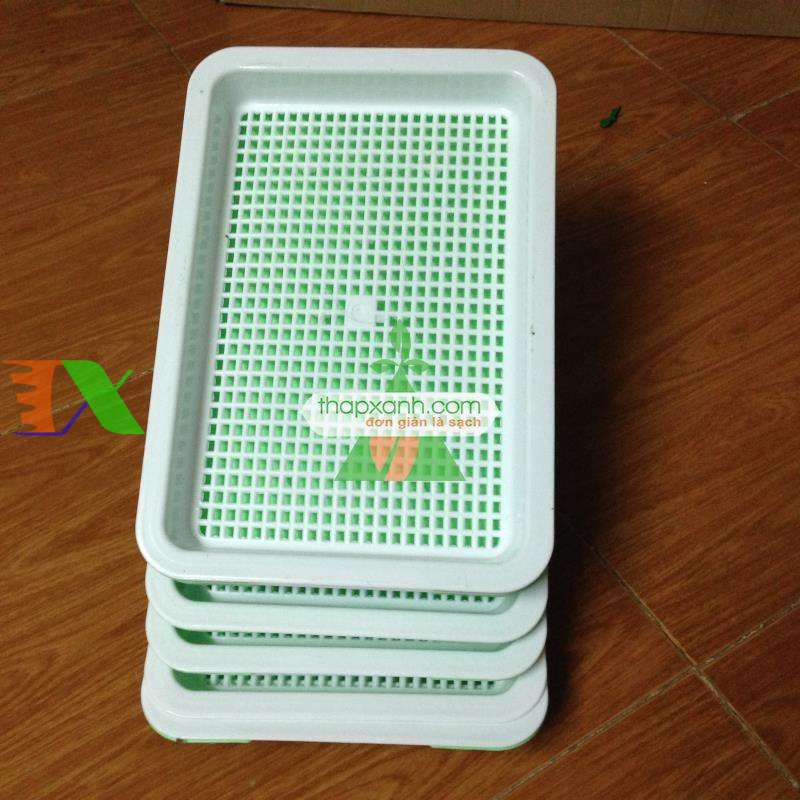 Khay trồng rau mầm thủy canh chuyên dụng (xanh)