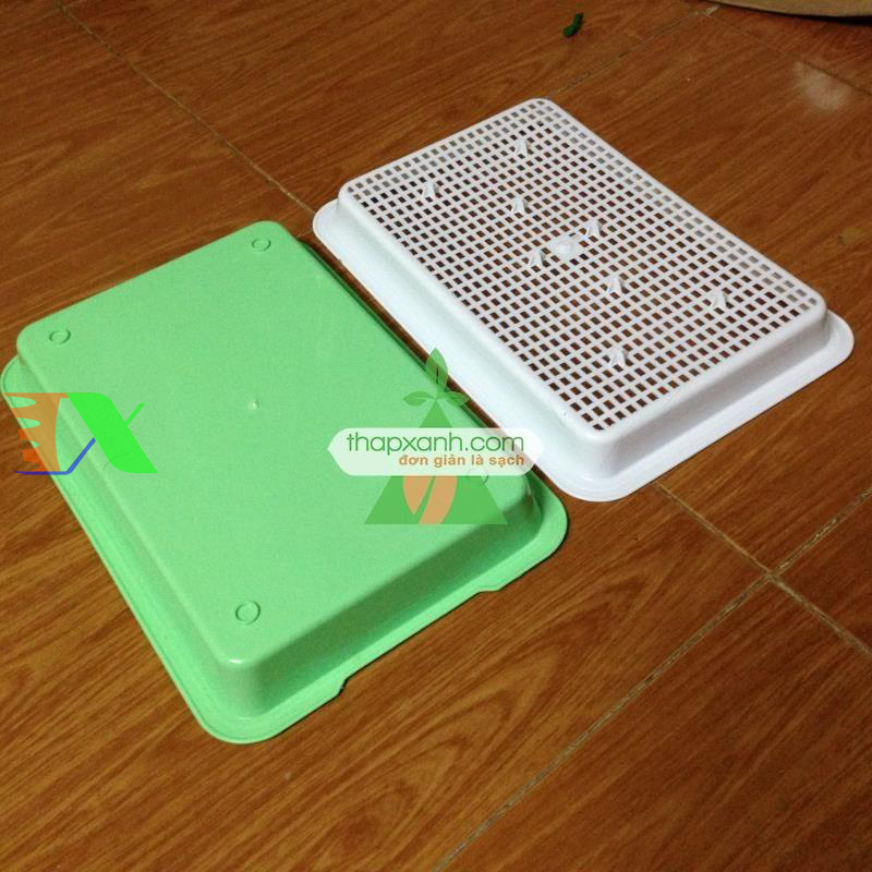 Khay trồng rau mầm thủy canh chuyên dụng (xanh)