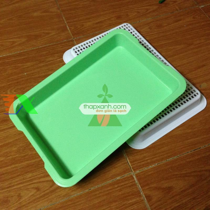 Khay trồng rau mầm thủy canh chuyên dụng (xanh)