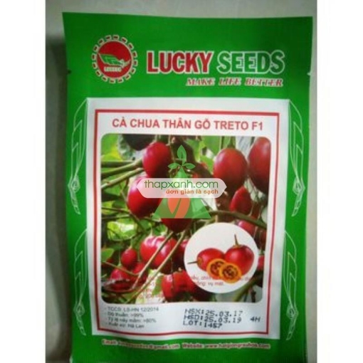 Gambar Hạt Giống Cà Chua Thân Gỗ Treto F1