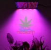 รูปภาพของ Đèn Led trồng cây đủ phổ GC-45W, Đèn led hỗ trợ trồng cây trong nhà, Led grow light