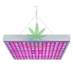 รูปภาพของ Đèn Led trồng cây đủ phổ GC-45W, Đèn led hỗ trợ trồng cây trong nhà, Led grow light