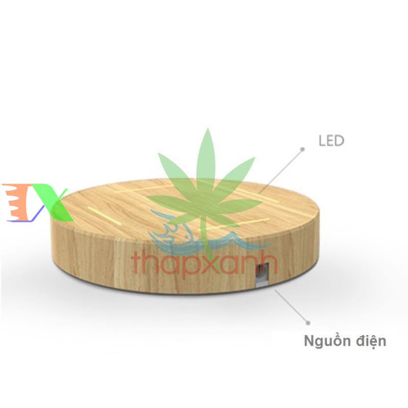 Chậu cây bay (Air bonsai) (gỗ)