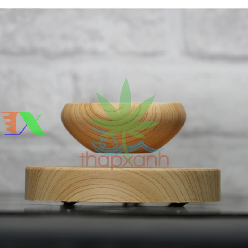 Chậu cây bay (Air bonsai) (gỗ)