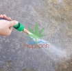 Ảnh của Bộ vòi xịt nước tưới cây, rửa xe bằng đồng chất lượng cao kèm 15m dây 8/11