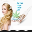 Picture of Lược điện uốn tóc, ép tóc thẳng NOVA (2 trong 1)
