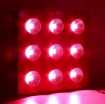 Gambar Đèn Led trồng cây đủ phổ COB-9, Đèn led hỗ trợ trồng cây trong nhà, Led grow light