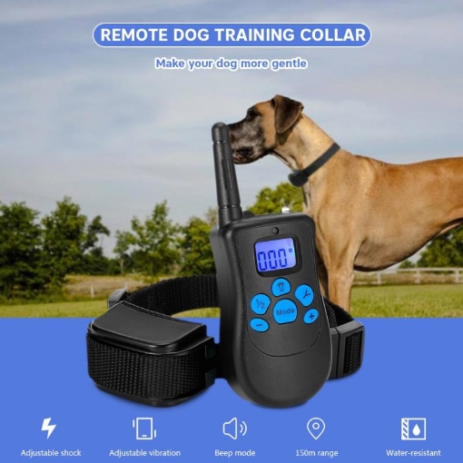 图片 Vòng cổ huấn luyện chó, Thiết bị đào tạo chó nghiệp vụ-P998N