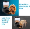 Picture of Máy tự động hẹn giờ cho Pet ăn (Chó, mèo) PFD-01, Máy cho chó ăn 3 bữa, bình chứa 5.5 lit