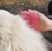 รูปภาพของ Dụng cụ chải lông Pet (chó mèo), găng tay chải gãi lông chó mèo, thú cưng