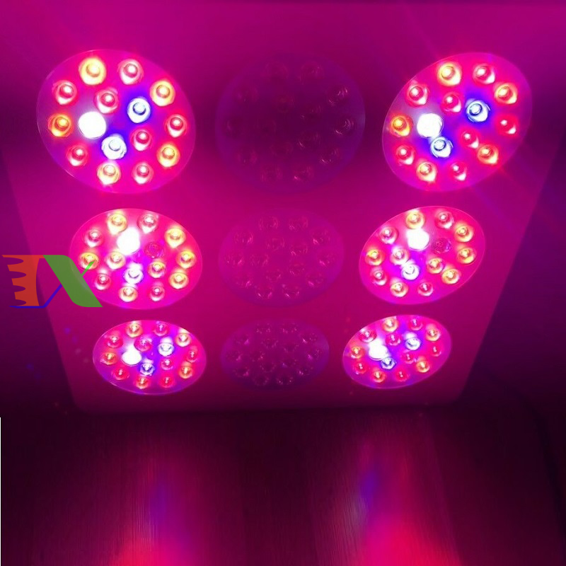 Đèn Led trồng cây trong nhà đủ phổ COB-6