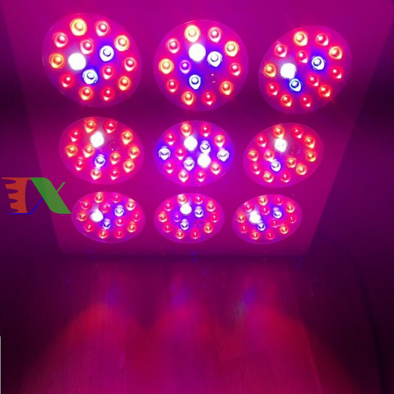 Đèn Led trồng cây trong nhà đủ phổ COB-6