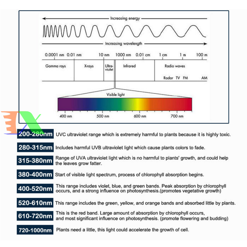 Đèn Led trồng cây trong nhà đủ phổ COB-6