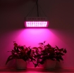 Picture of Đèn Led trồng cây đủ phổ GL-300W, Đèn led hỗ trợ trồng cây trong nhà, Led grow light