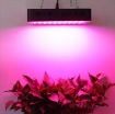 Picture of Đèn Led trồng cây đủ phổ GL-300W, Đèn led hỗ trợ trồng cây trong nhà, Led grow light