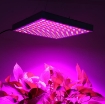 รูปภาพของ Đèn Led trồng cây đủ phổ GC-45W, Đèn led hỗ trợ trồng cây trong nhà, Led grow light