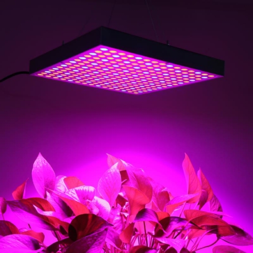 รูปภาพของ Đèn Led trồng cây đủ phổ GC-45W, Đèn led hỗ trợ trồng cây trong nhà, Led grow light
