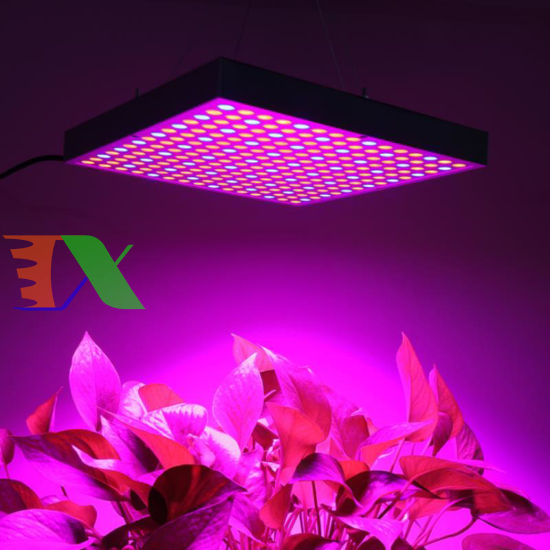 Đèn Led trồng cây đủ phổ GC-45W, Đèn led hỗ trợ trồng cây trong nhà ...