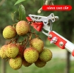图片 Dụng cụ hái quả HQ-4M, Sào hái trái cây trên cao có kẹp giữ (4m), Nhãn, Vải