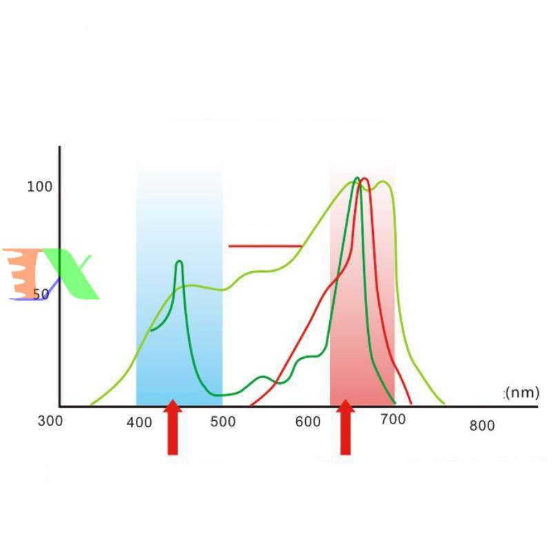 Led trồng cây, nuôi cấy mô 1.2m 15w