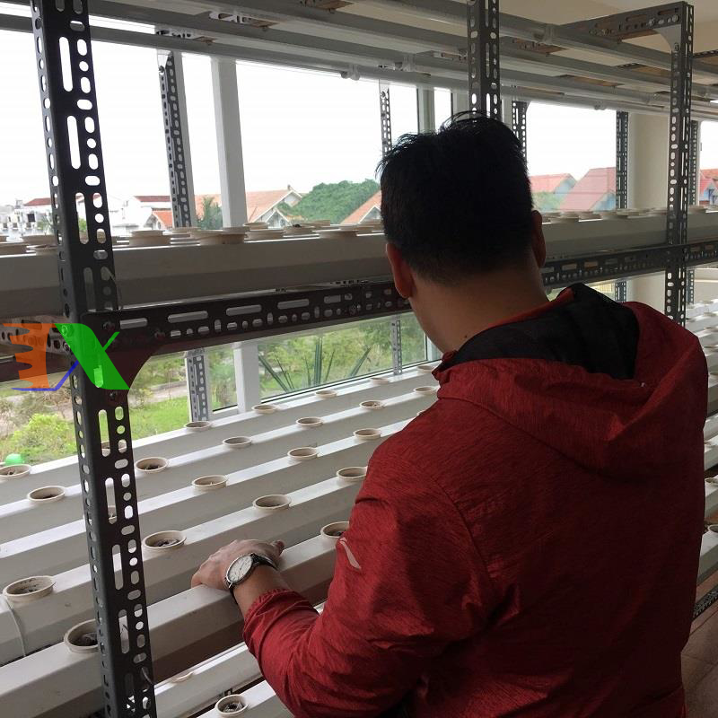 Led trồng cây, nuôi cấy mô 1.2m 15w