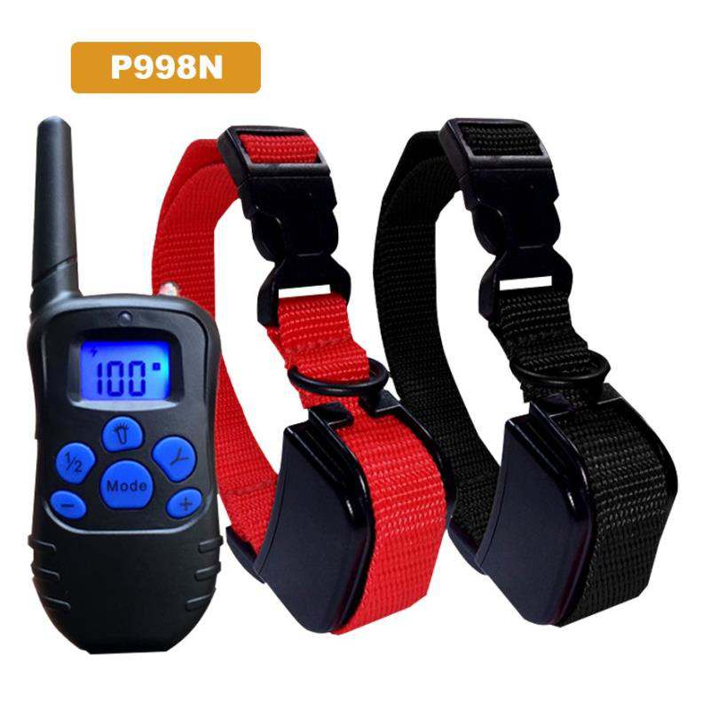 Huấn luyện 2 chó [+200,000đ]