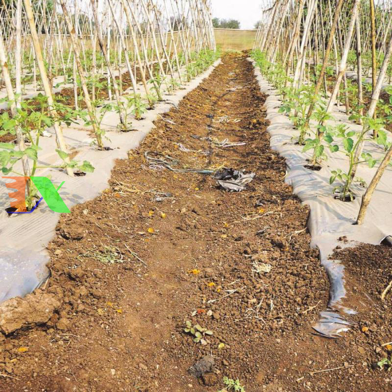 Dùi đục lỗ nhỏ (Dùng cho khởi thủy 3/5 hoặc 4/7)