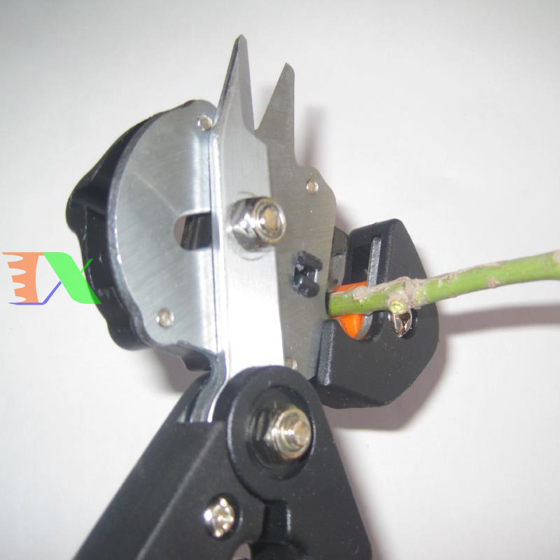 Máy cắt ghép cành, chiết cành