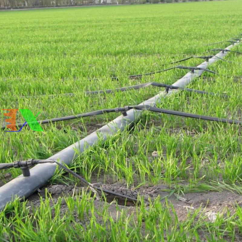 Dây dẫn tưới PE Φ20 (20mm)