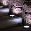 图片 Đèn chiếu tiểu cảnh năng lượng mặt trời SBN-8 8 Leds, Đèn trang trí sân vườn Disk Light