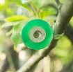 Ảnh của Cuộn băng ghép cành BGC-2, Cuộn phim ghép cây, Băng nilon ghép cành tự dính 2cm