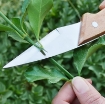 Ảnh của Dao ghép cây DGN-21, Dao chiết cành, Dao ghép cành siêu sắc thép SK5