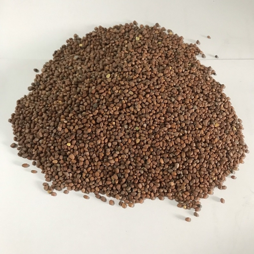 รูปภาพของ Hạt giống rau mầm Củ Cải Trắng Gói 500g, Hạt giống New Zealand, Đà Lạt