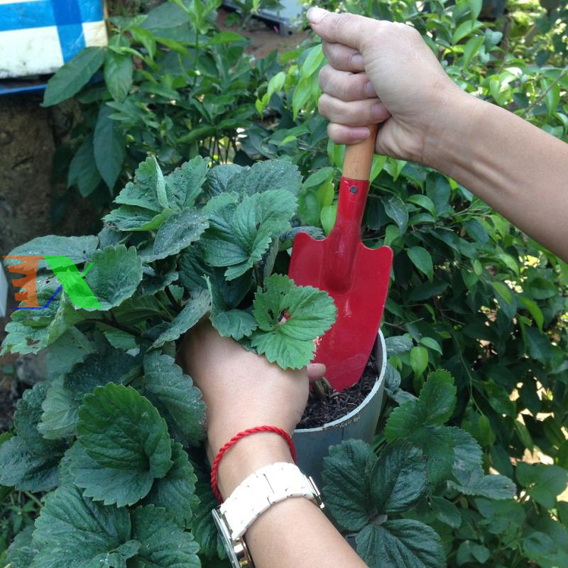 Xẻng làm vườn mini (Cán gỗ)