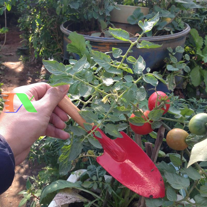 Xẻng làm vườn mini (Cán gỗ)