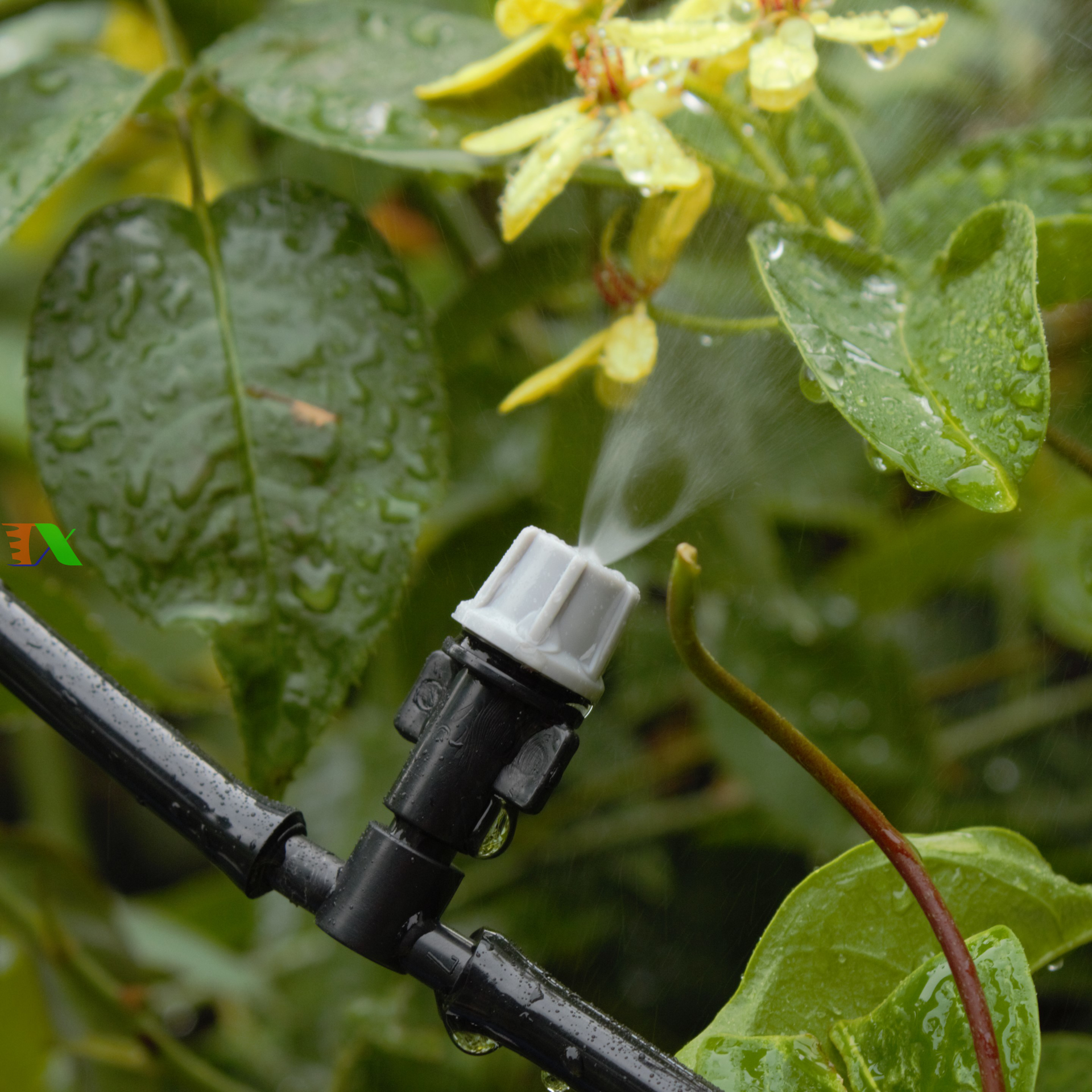 Đầu tưới gốc 8 tia