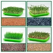 รูปภาพของ Bộ kit Khay trồng rau mầm thủy canh chuyên dụng TKM-8.4, Khay, Giá đỡ, Vòi xịt, Hạt giống