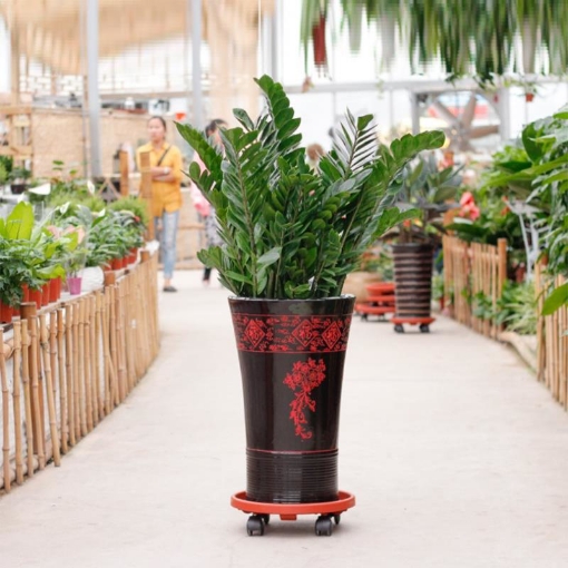 รูปภาพของ Giá để chậu hoa bằng nhựa TDN-30 cm, Kệ để chậu cây cảnh 4 bánh, Đế chậu cây có bánh xe lăn